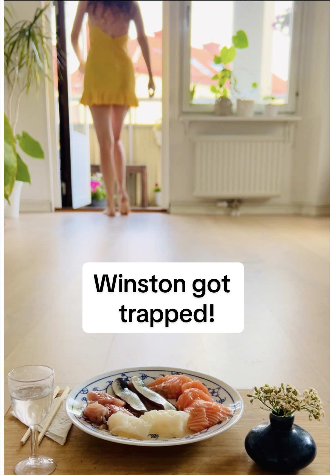 @Winston gull