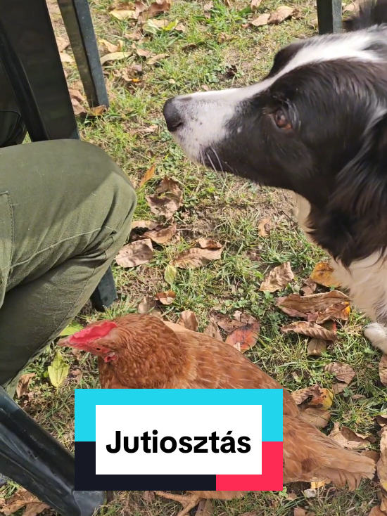 @Akt&iacute;van kuty&aacute;val