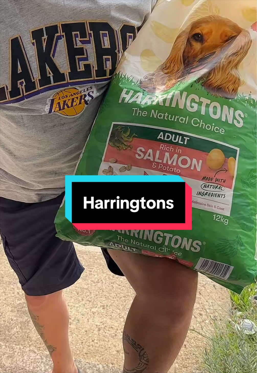 @Gummy