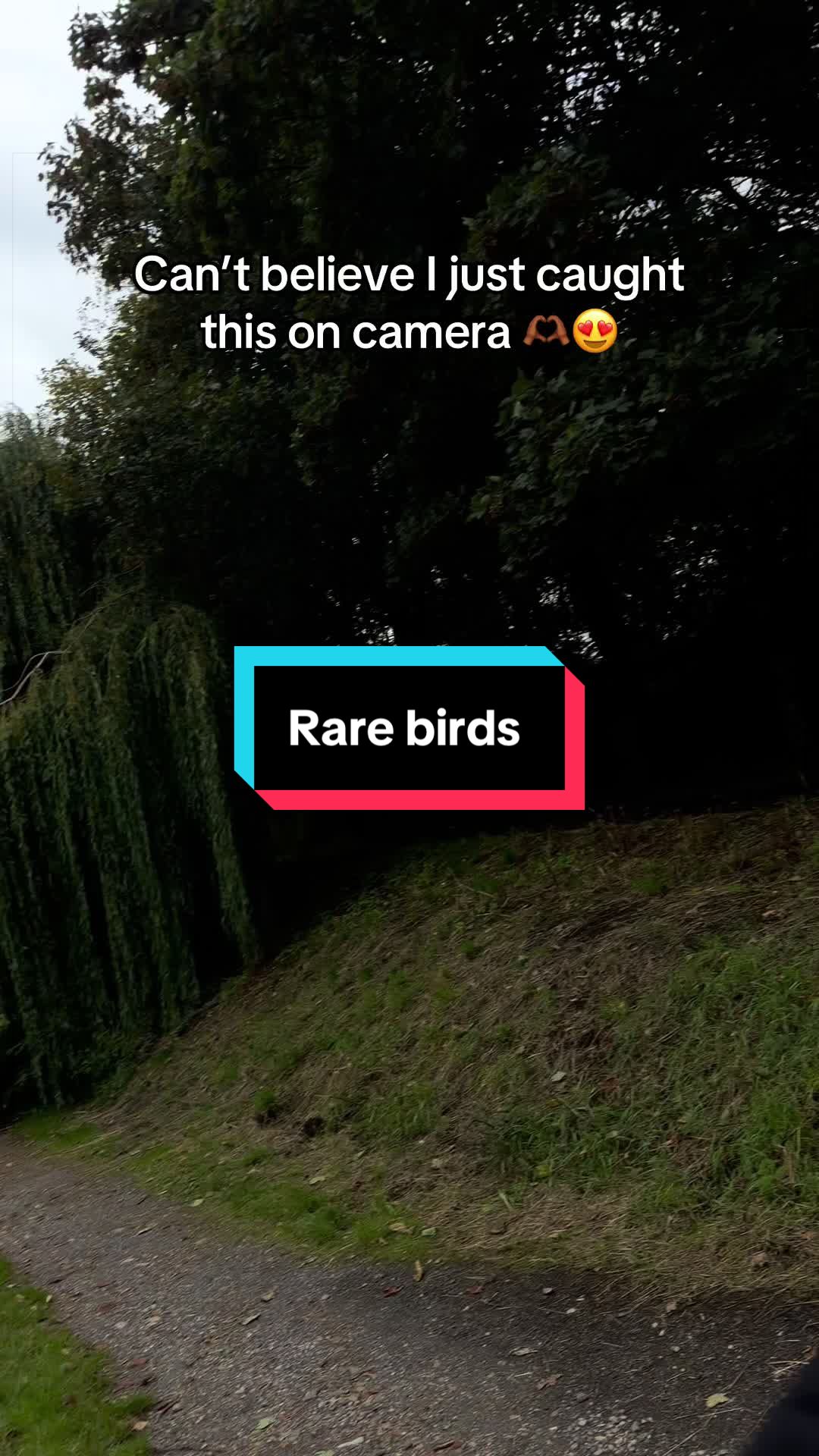 @Joel CREATES | UGC -MCR/LIV