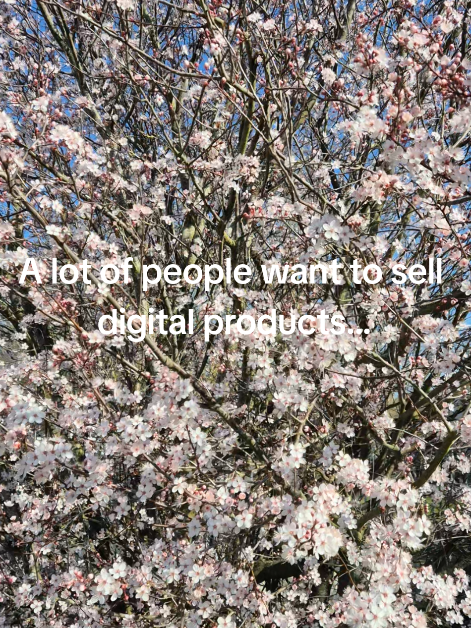 @Emily | Digital Marketing