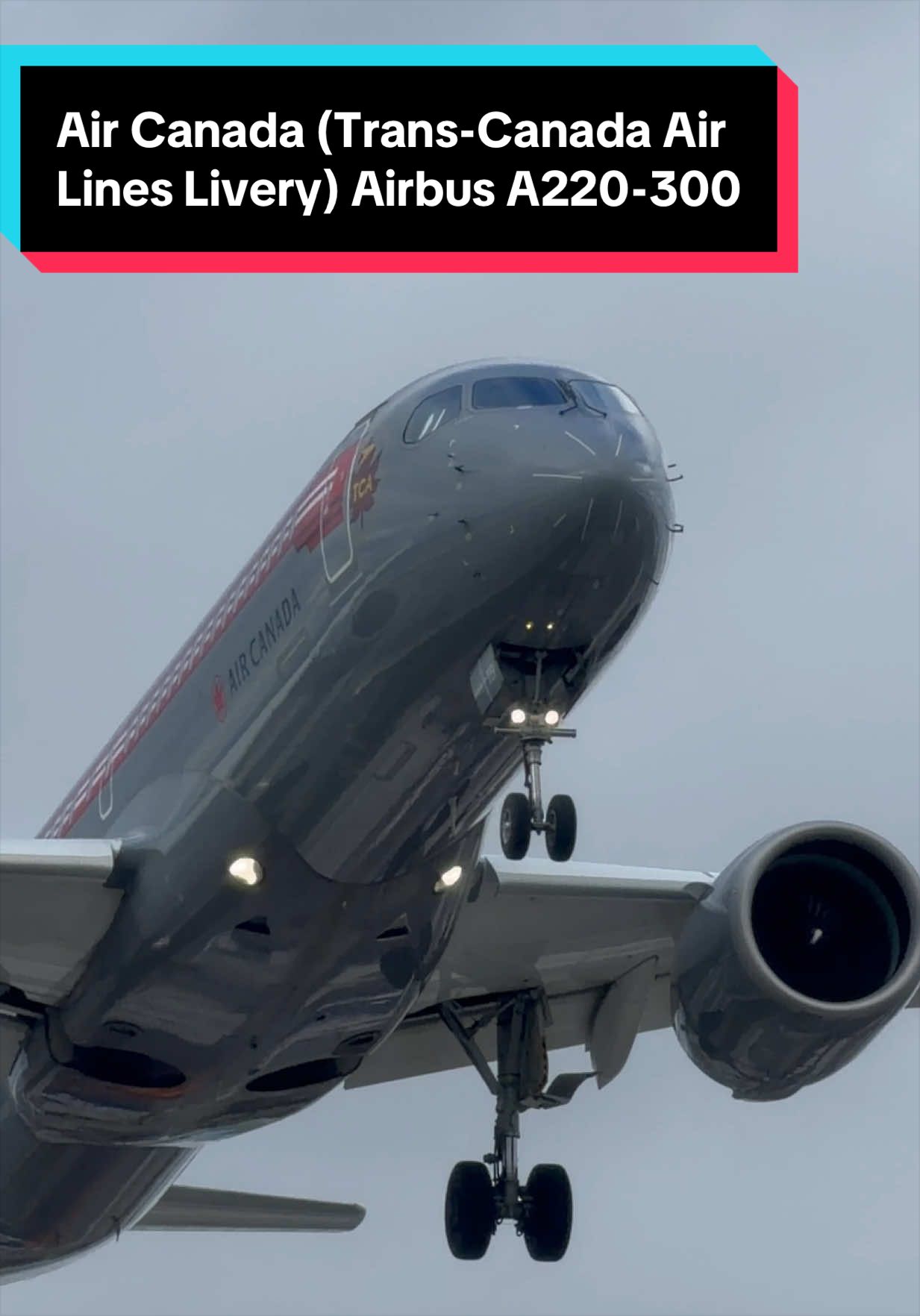 @AVIATION_YYZ_SPOTTER