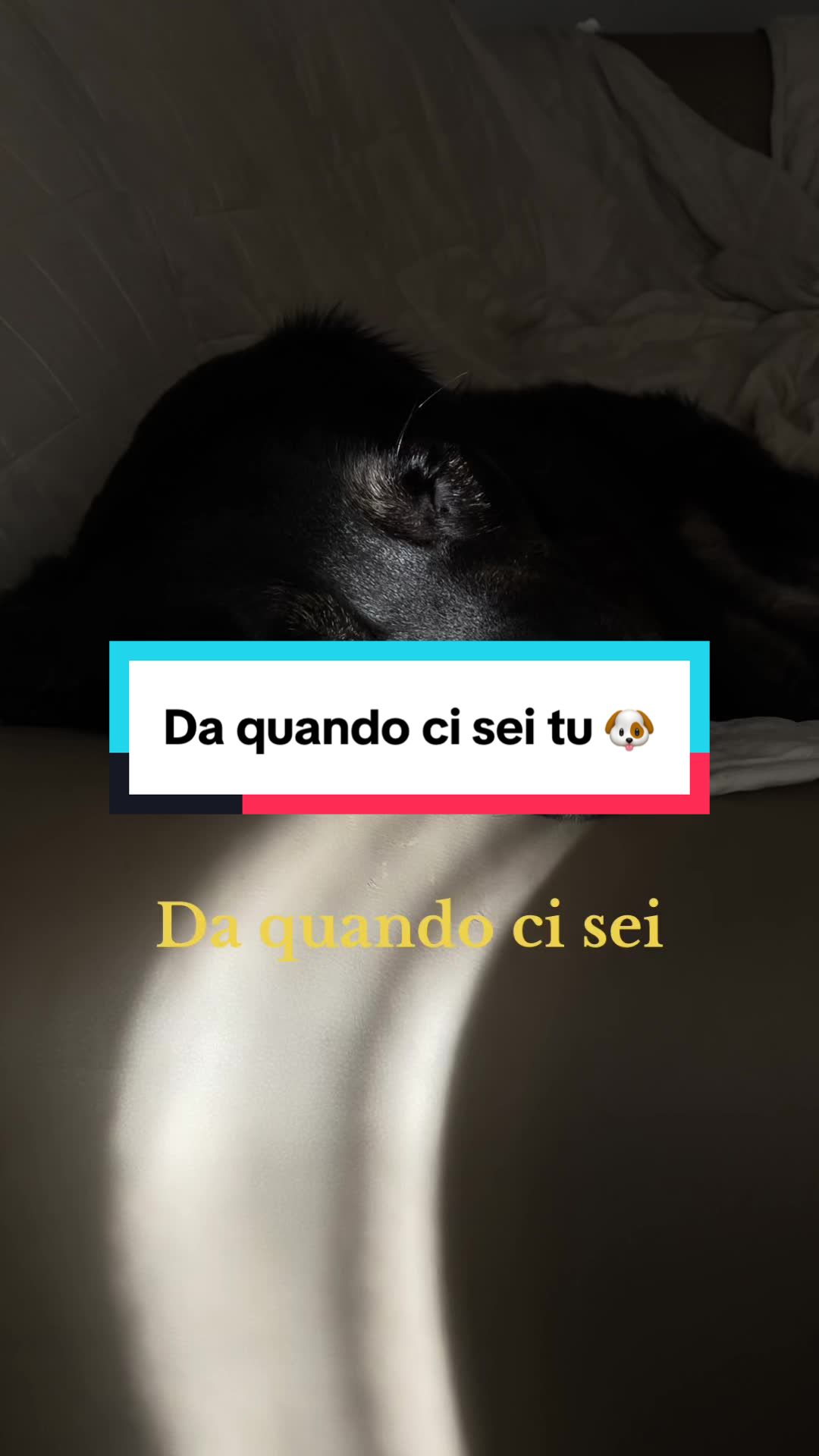 @Taty 🌙