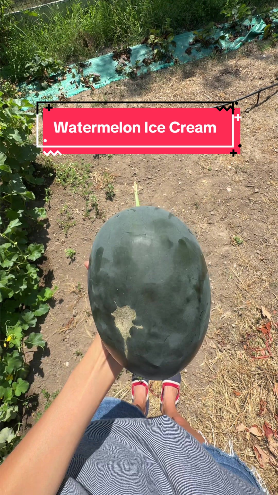 @Claire
