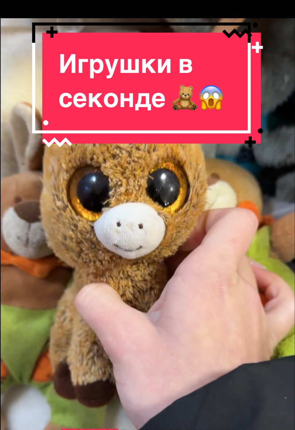 @M collector 🐈&zwj;⬛