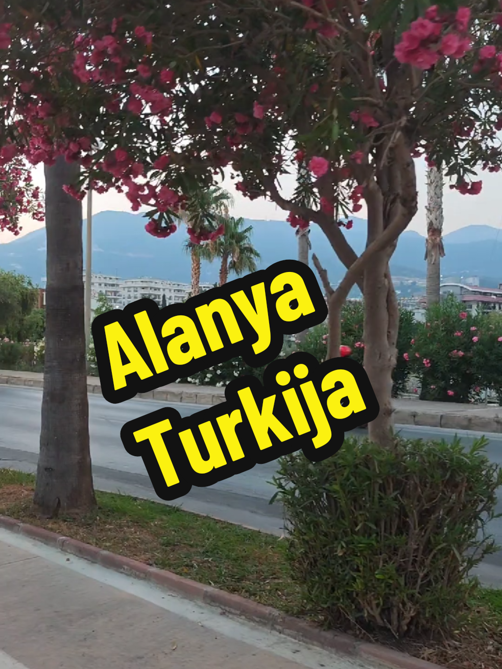 @arvizas