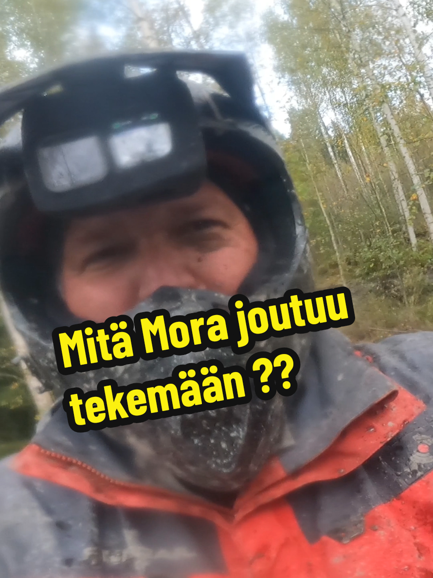@Moran M&ouml;nkij&auml;talli