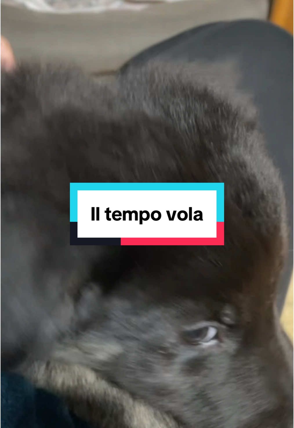@Taty 🌙