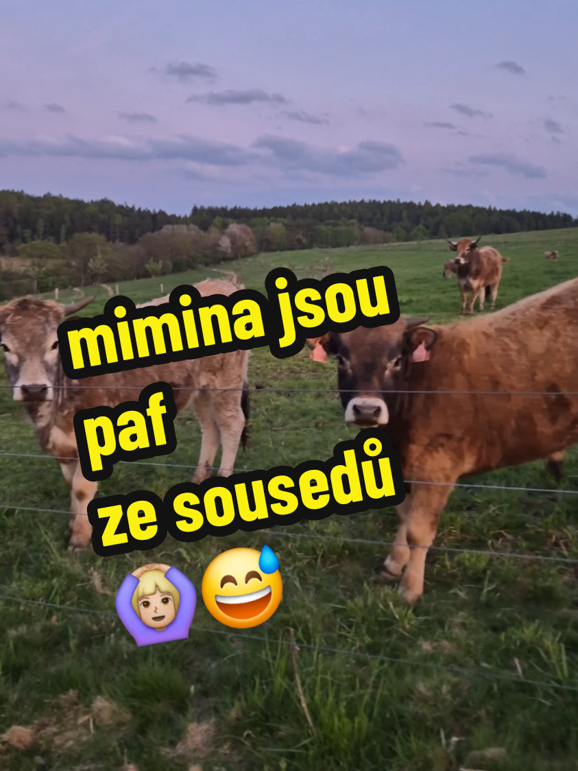 @Ekofarma Holčovice