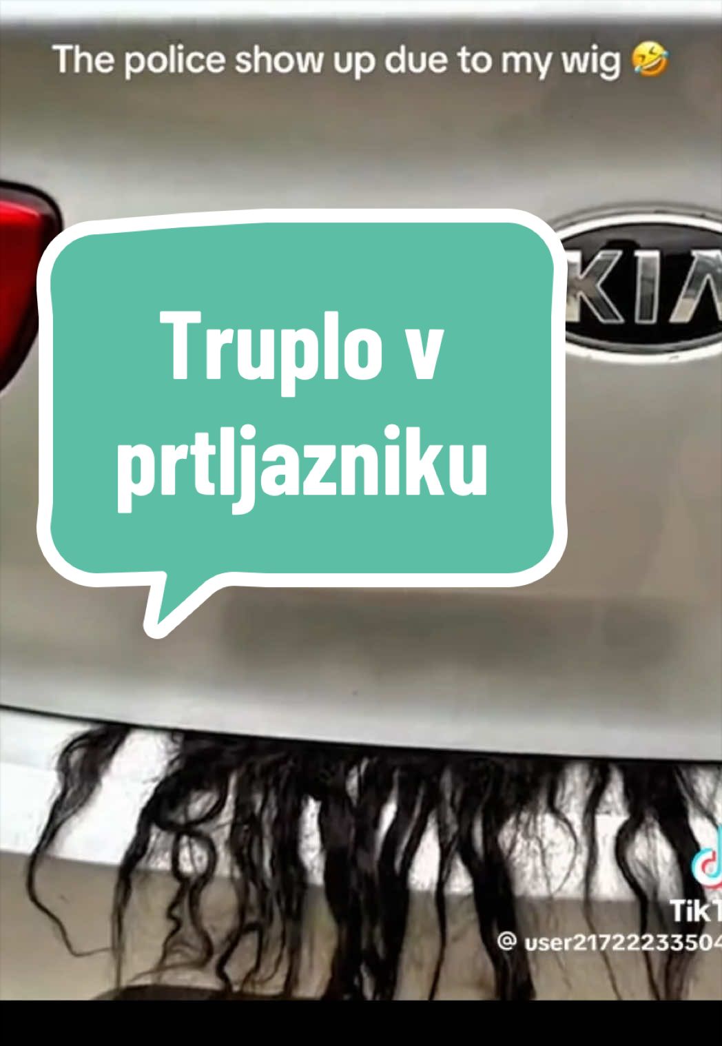 @Alenka Trogrlic