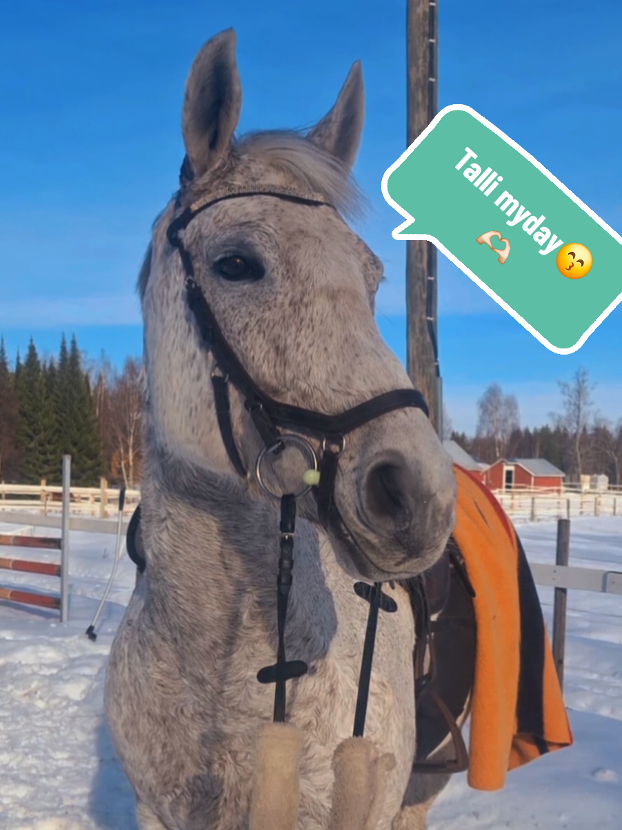 @✨️Veera Kettunen ja Ievina✨️