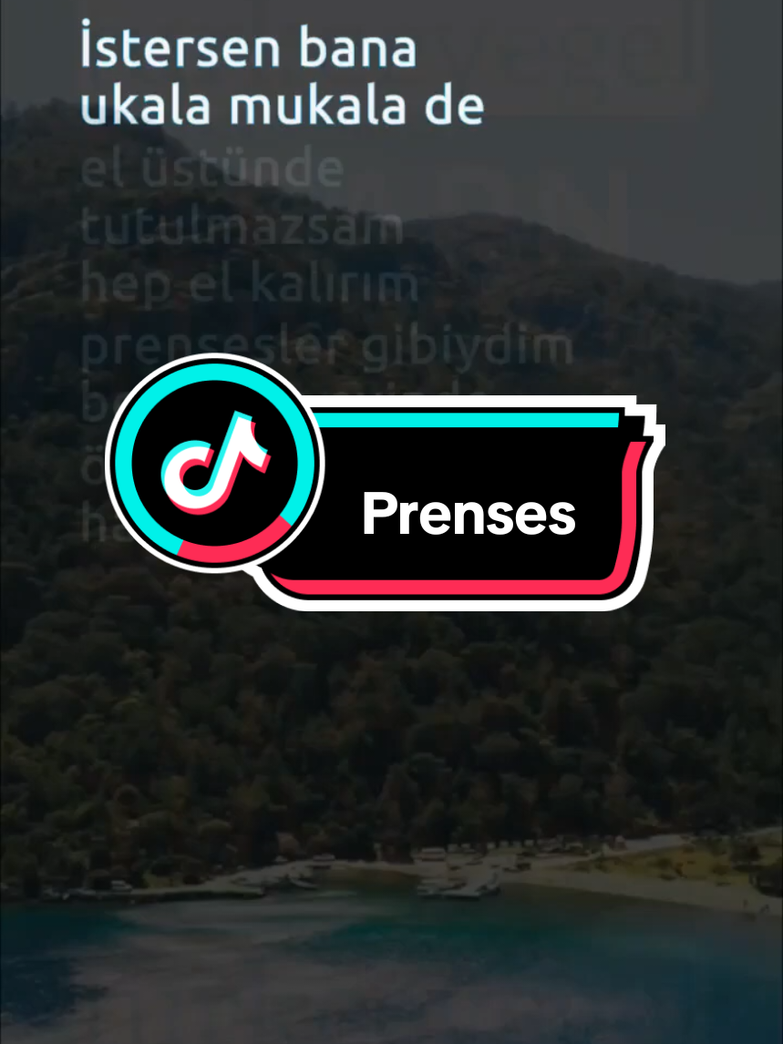 @Learn Turkish with T&uuml;rk&ccedil;eyeGel
