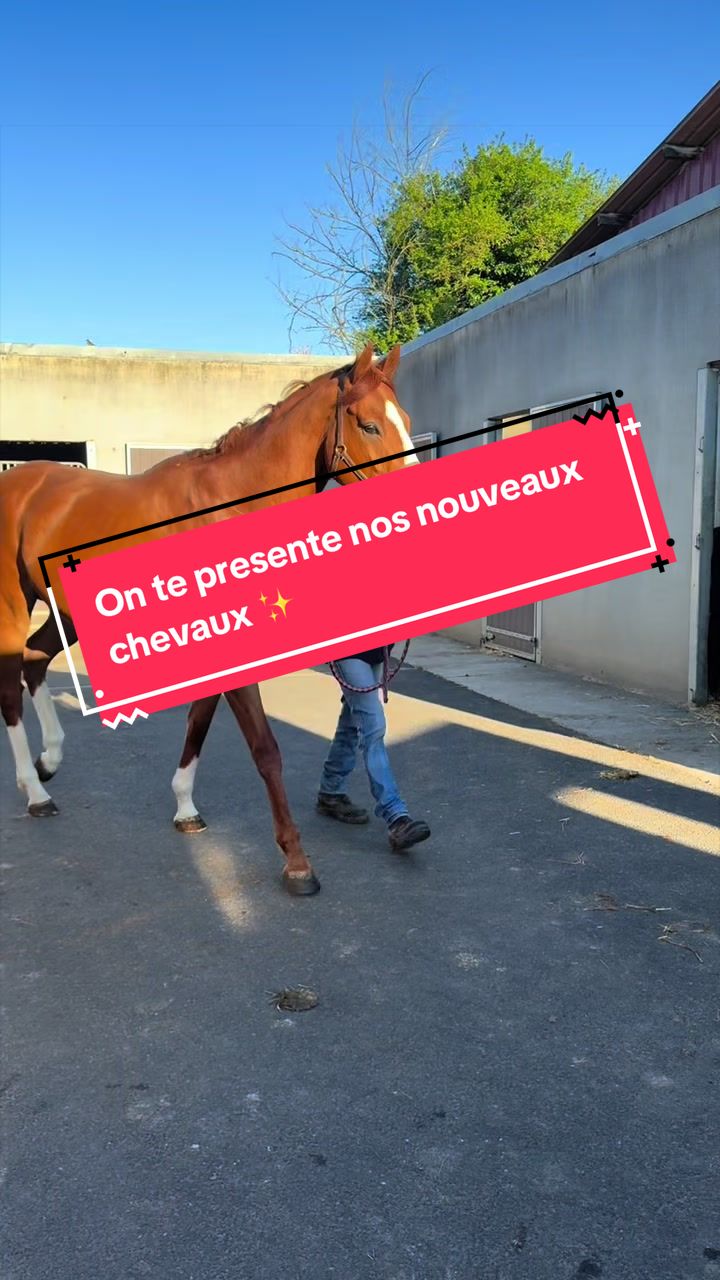 @Écuries Valentine