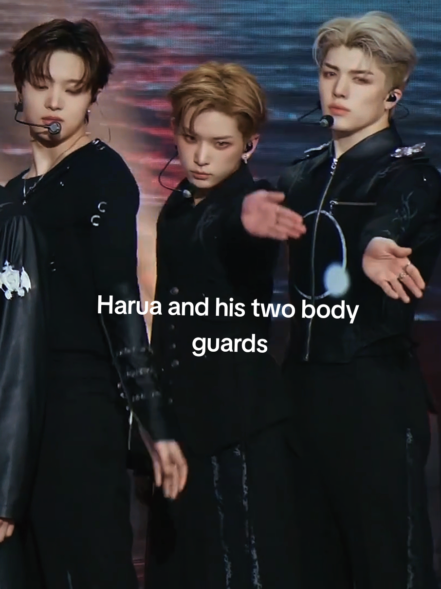 @haruaruh (&TV)