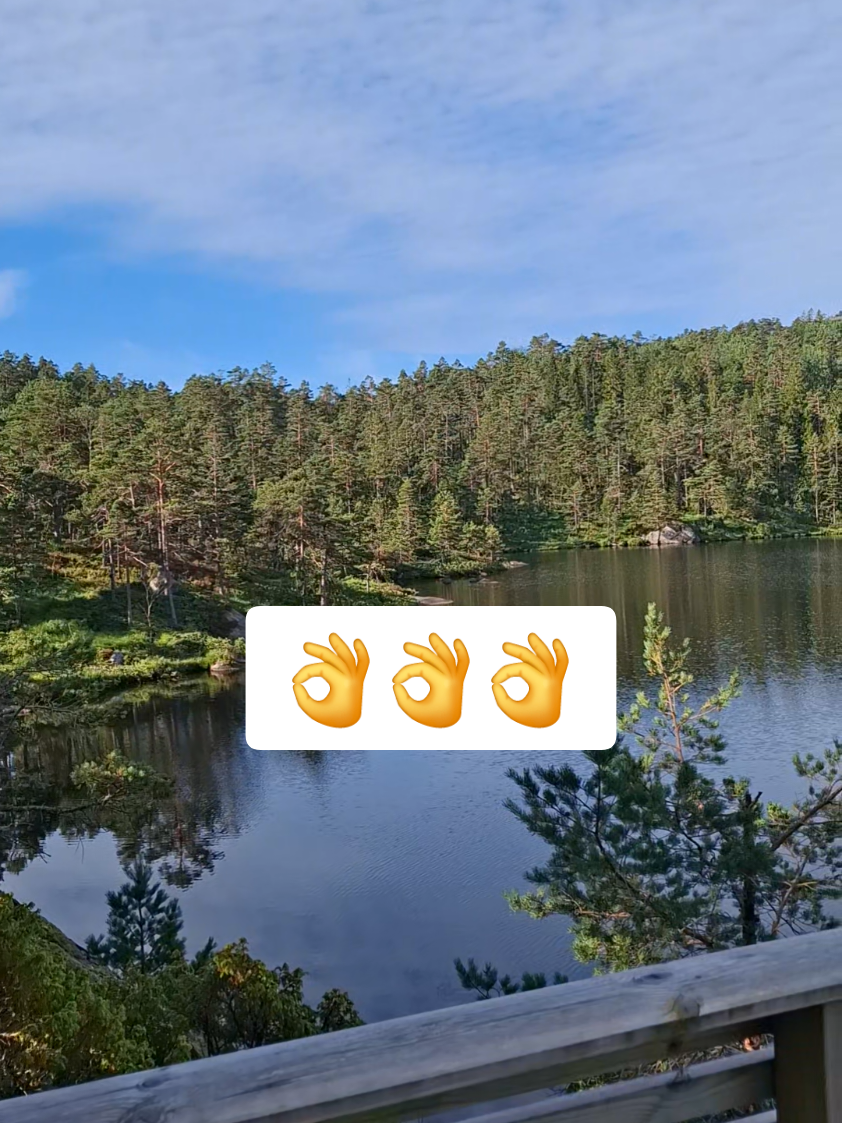 @OdessitSerg1🇧🇻🇺🇦