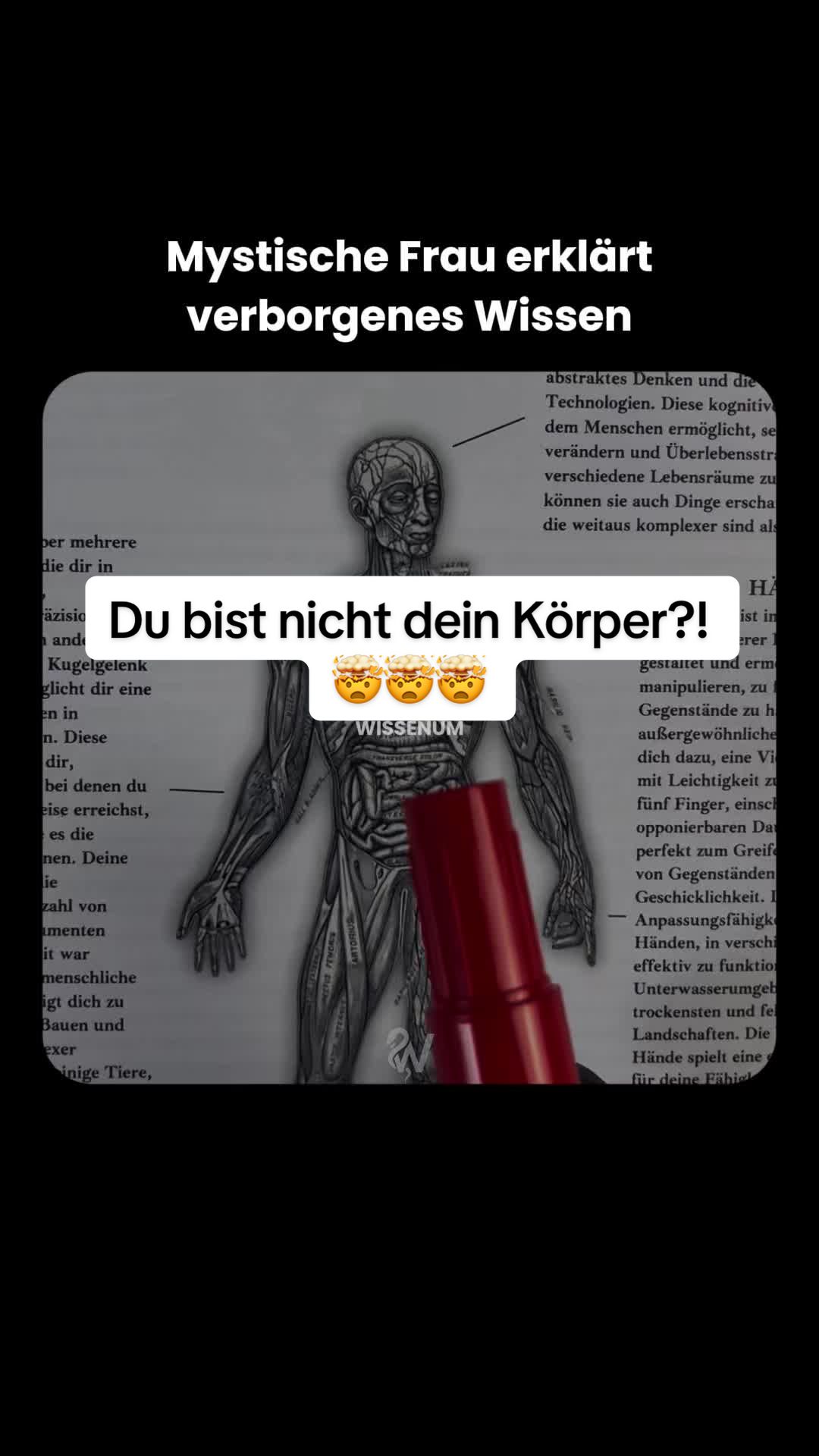 @thewissenum