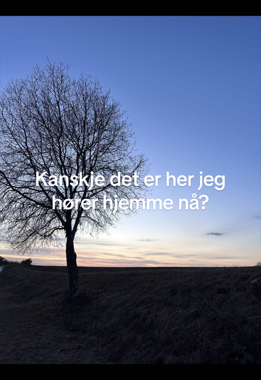 @Hildemadd