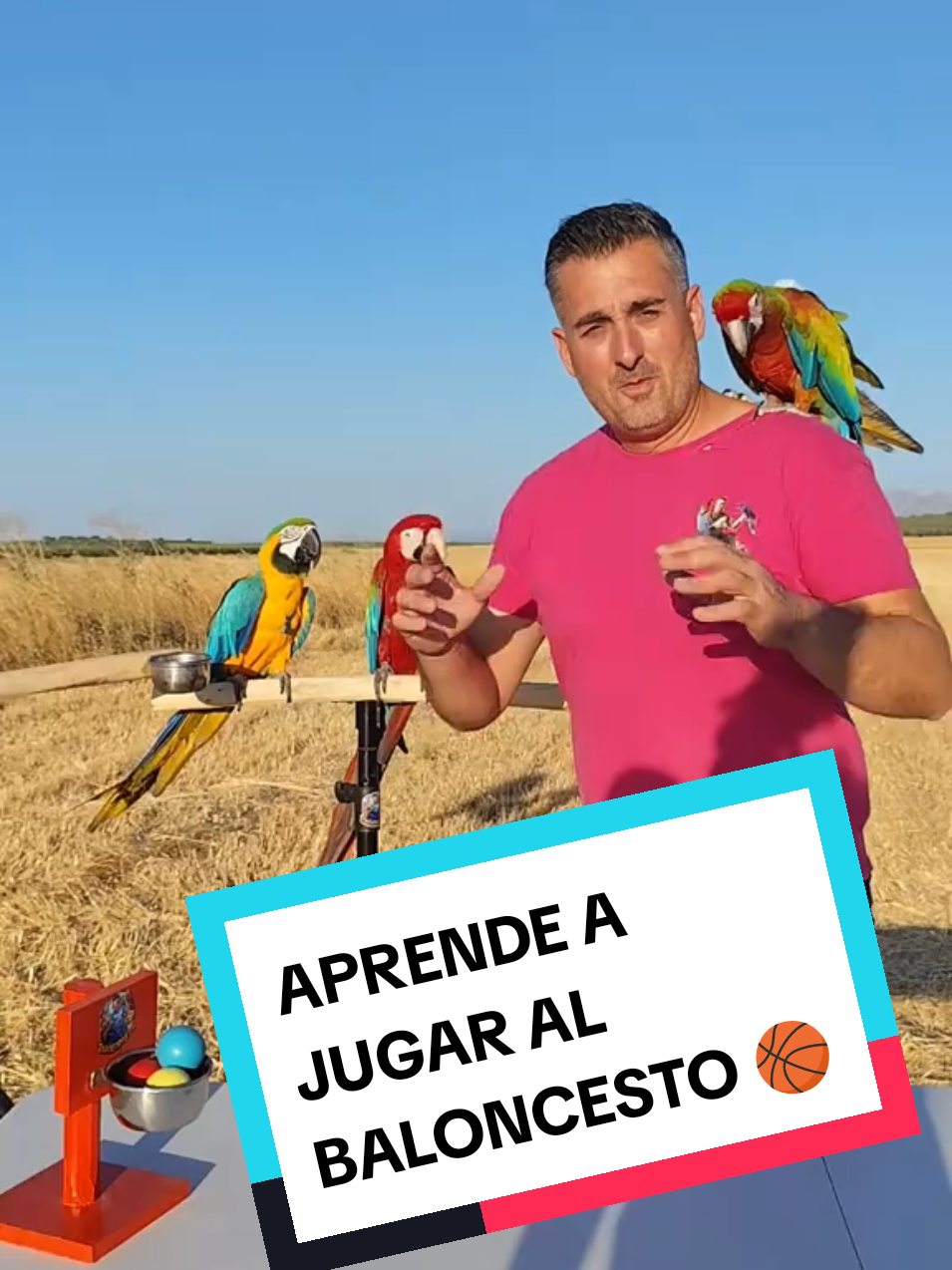 @TODO LOROS