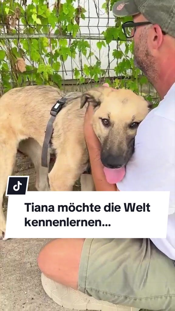 @Ein Herz für Streuner e.V.