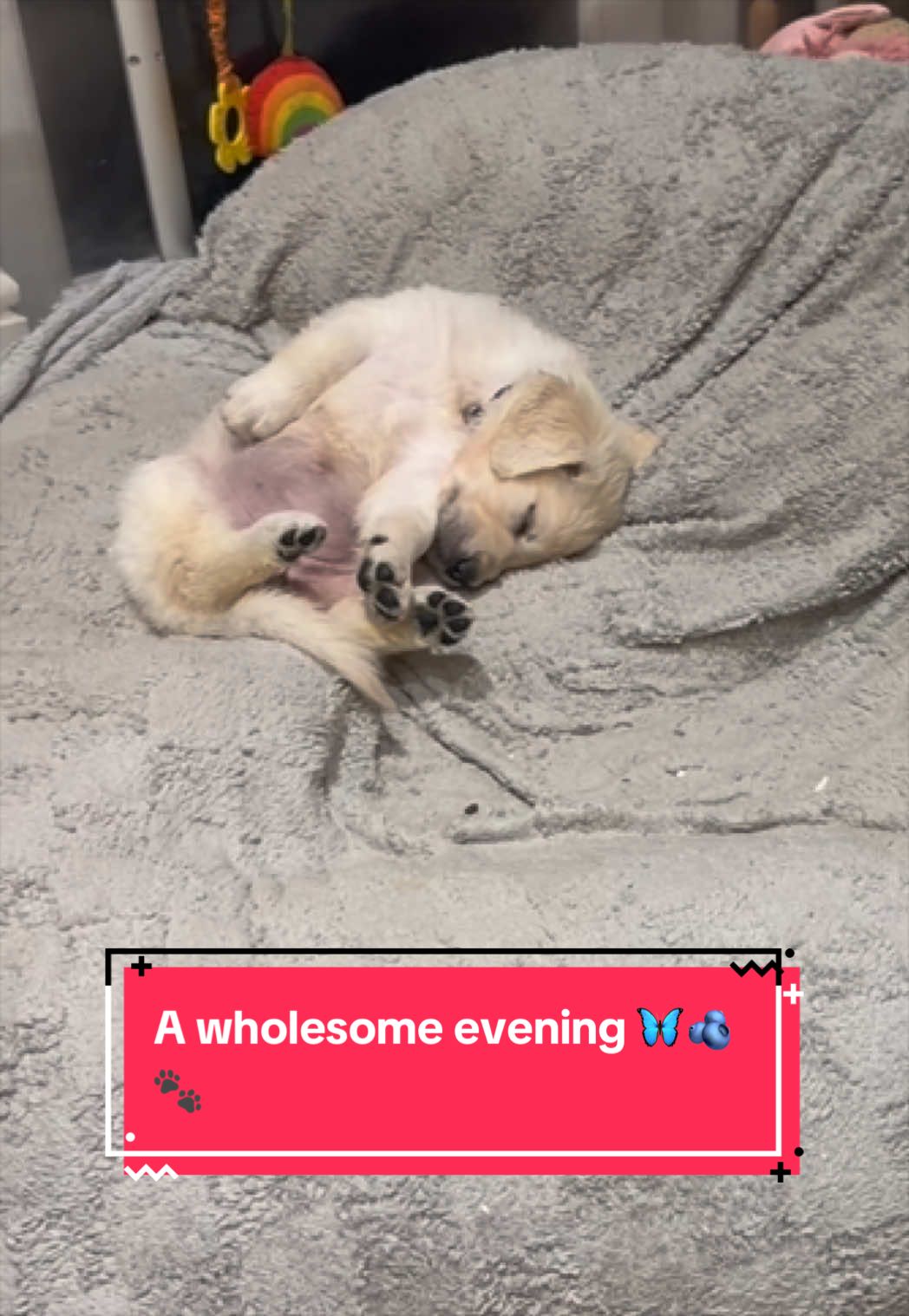 @Ateam Goldens