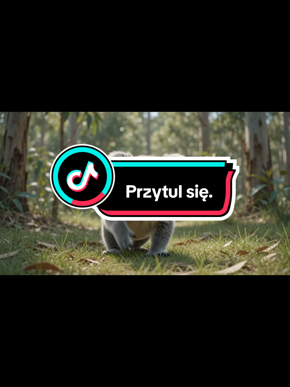 @Wesolutki 😎
