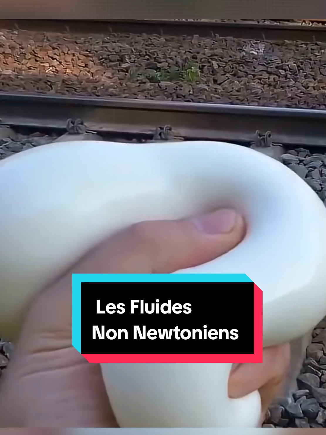 @Savoir Plus 🤓