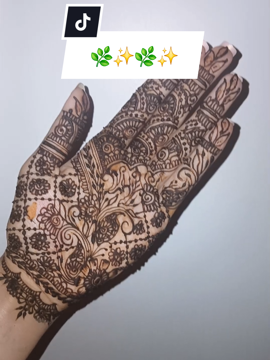 @Palm and Pattern