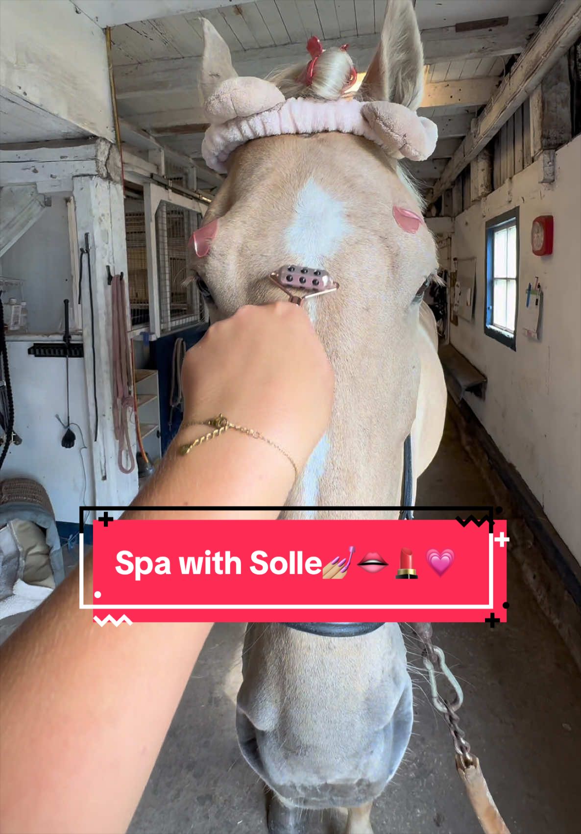@Izabellasvarddressage