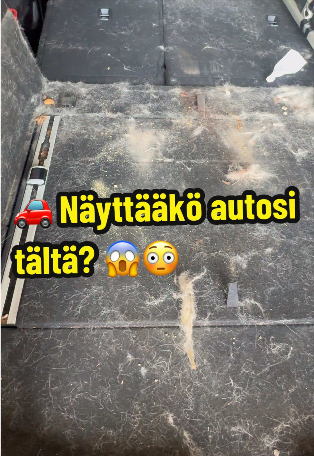 @Heidix Autopesula