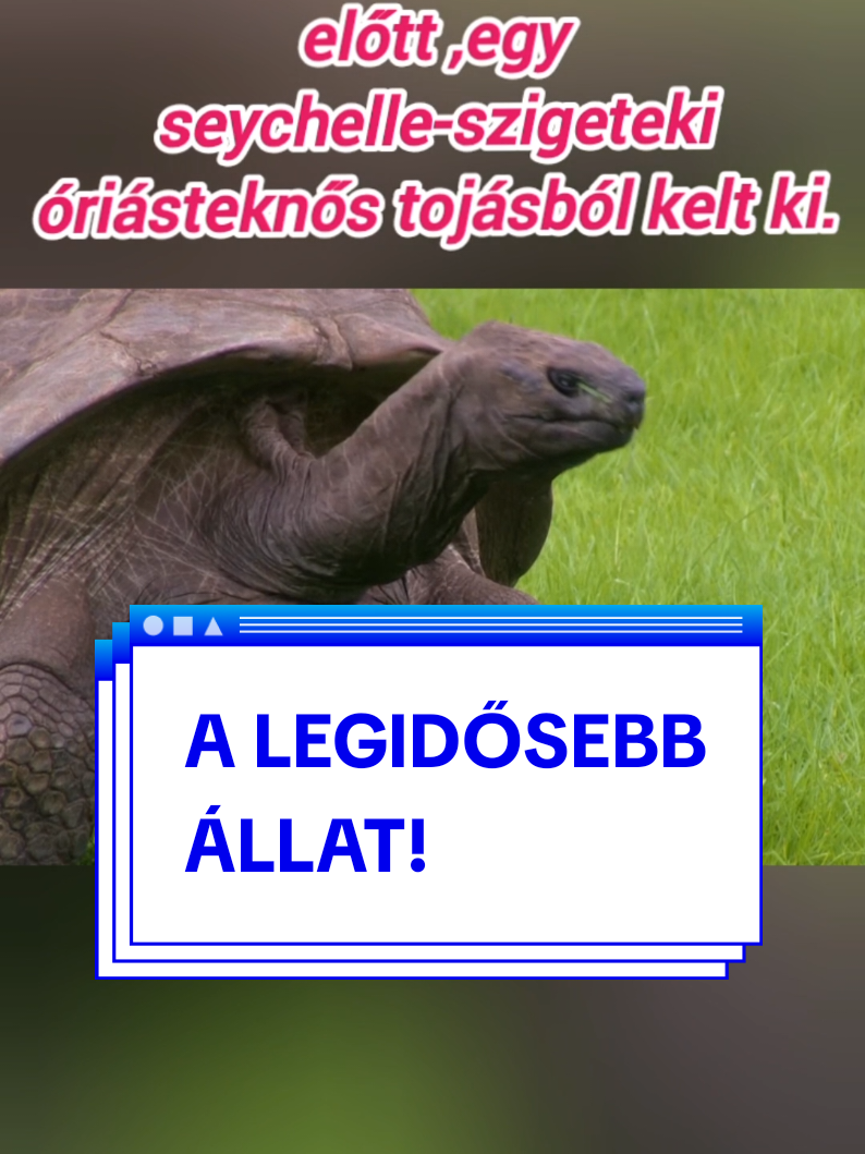 @FERK&Oacute;✔️