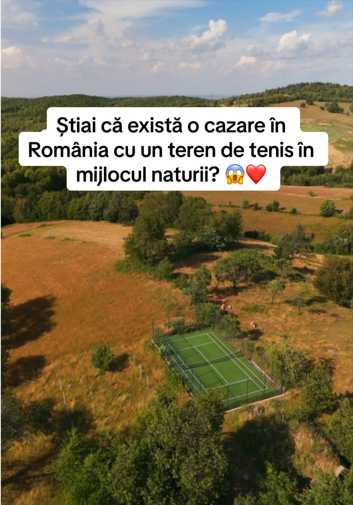 @Ana Vlad