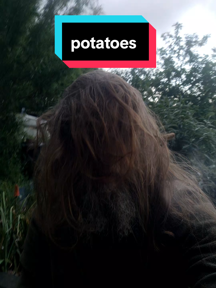 @The Nut Farm