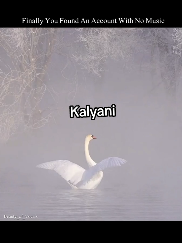 @𝐁𝐞𝐚𝐮𝐭𝐲_𝐨𝐟_𝐕𝐨𝐜𝐚𝐥𝐬