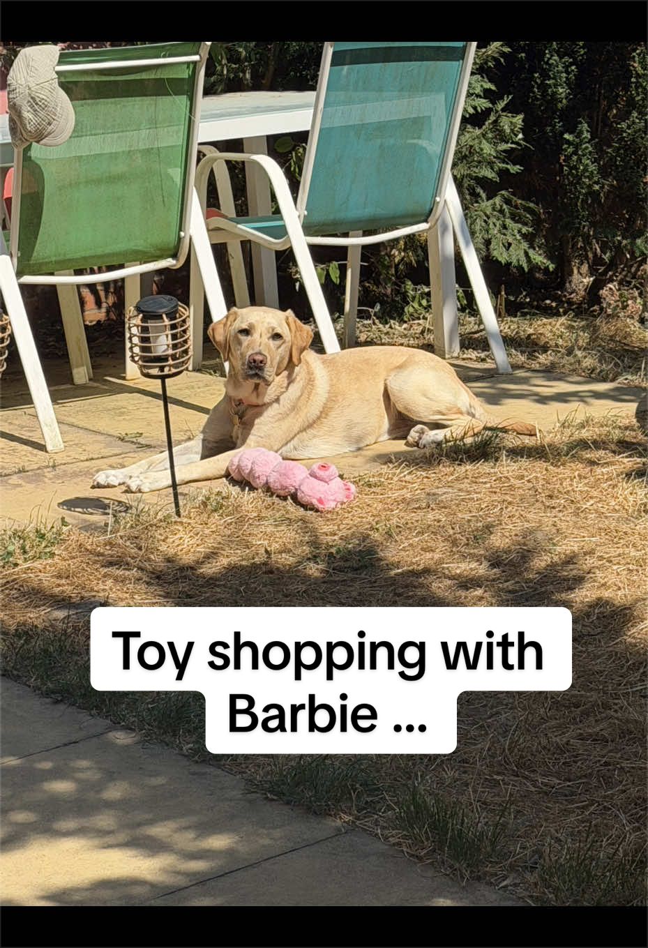 @guidedbybarbie25