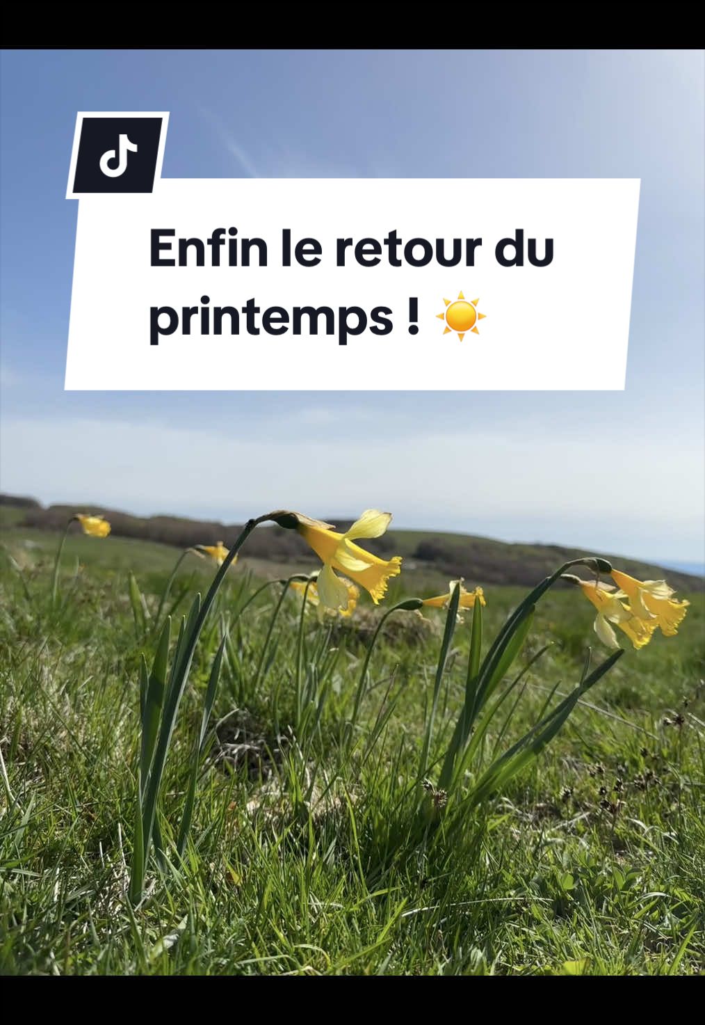 @De l’Aubrac aux Gorges du Tarn
