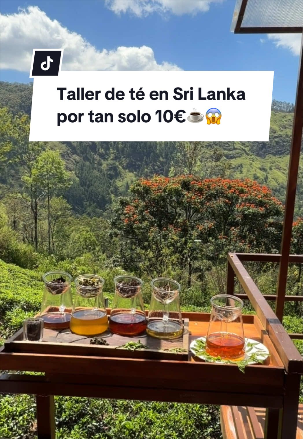 @Karyna & Pedro