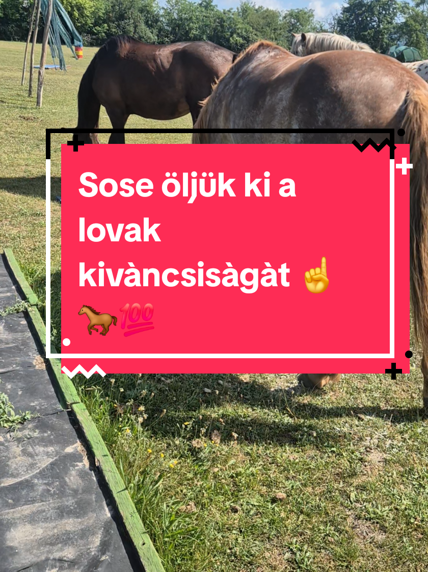 @Hal&aacute;pi Roland