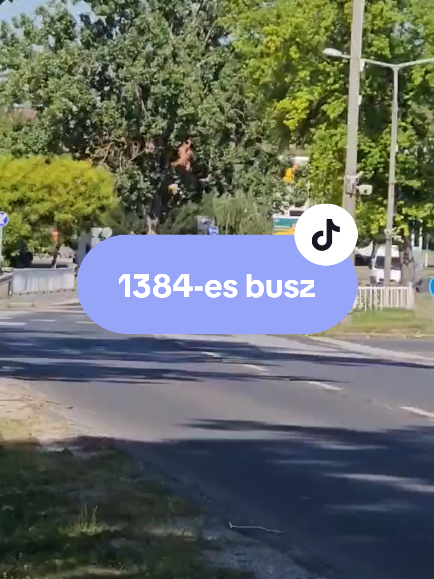 @PTF - Public Transport Fan