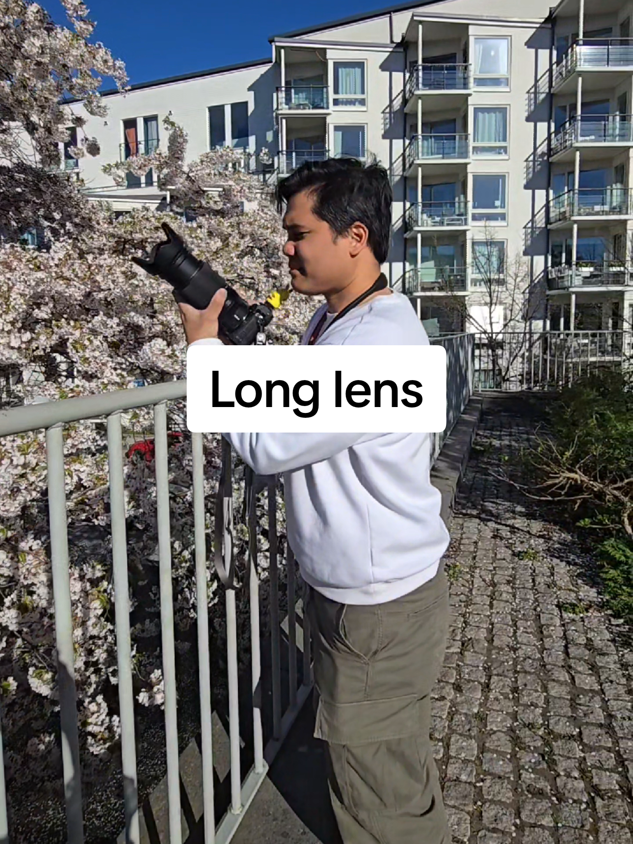 @I Export JPGs