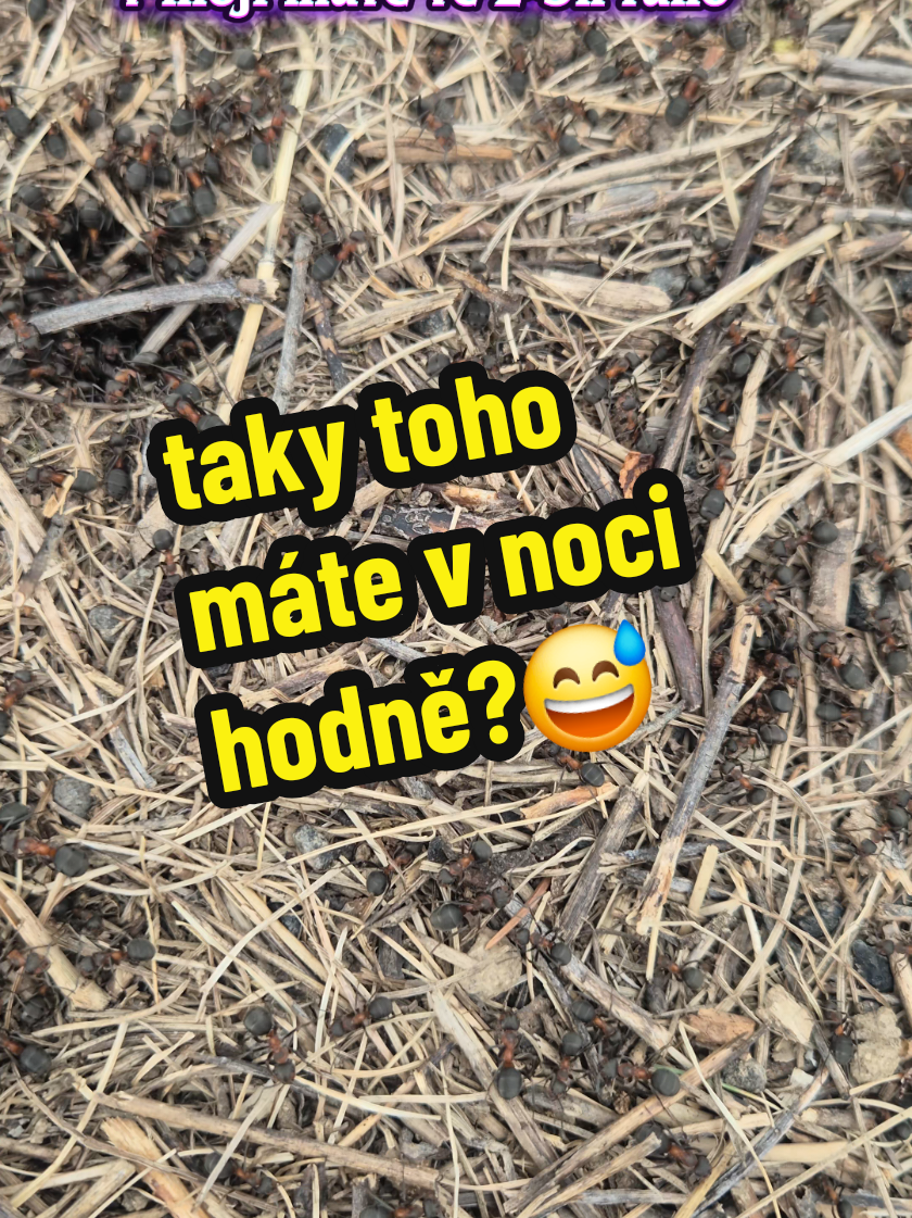 @Ekofarma Holčovice