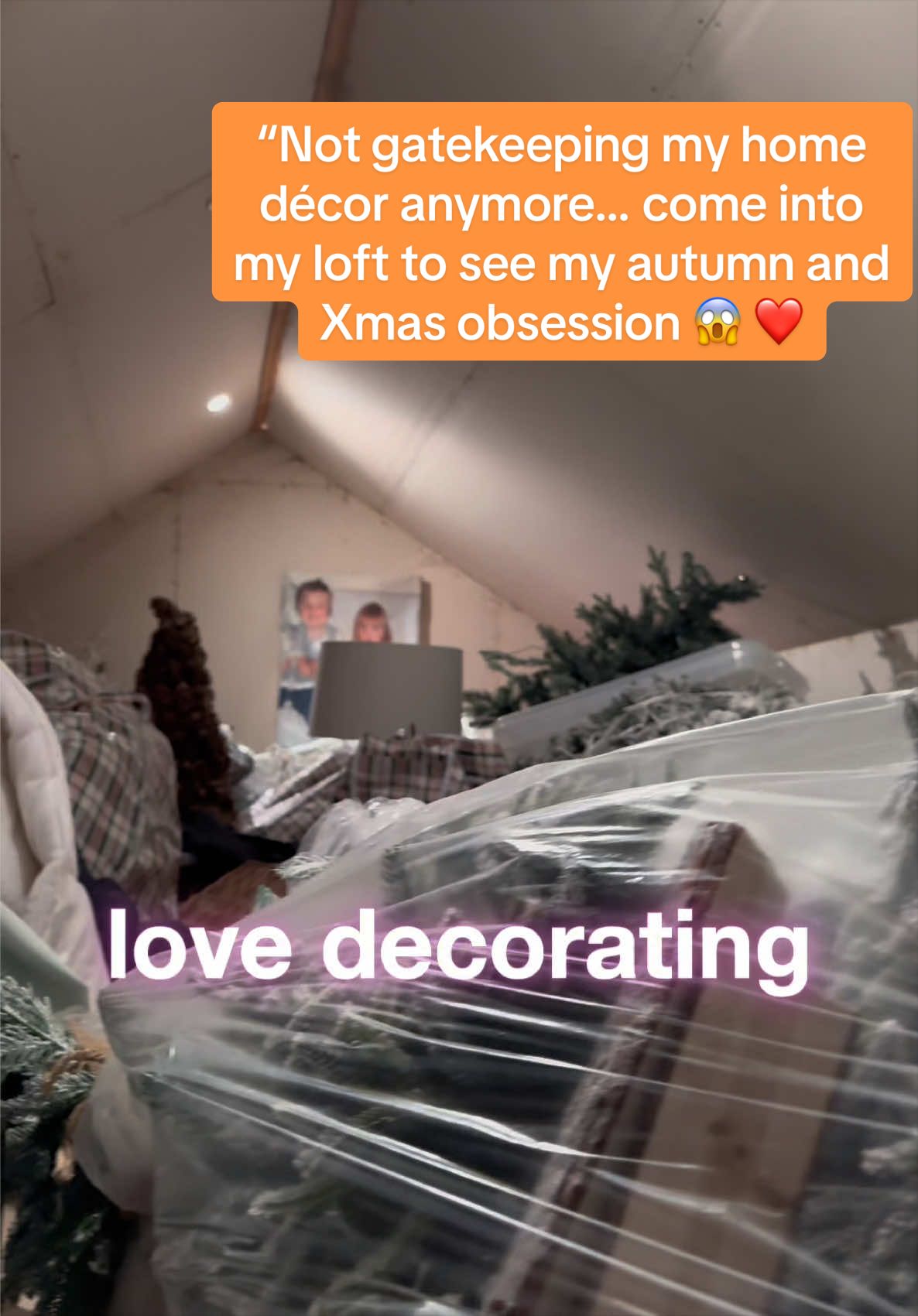 @venturavibed