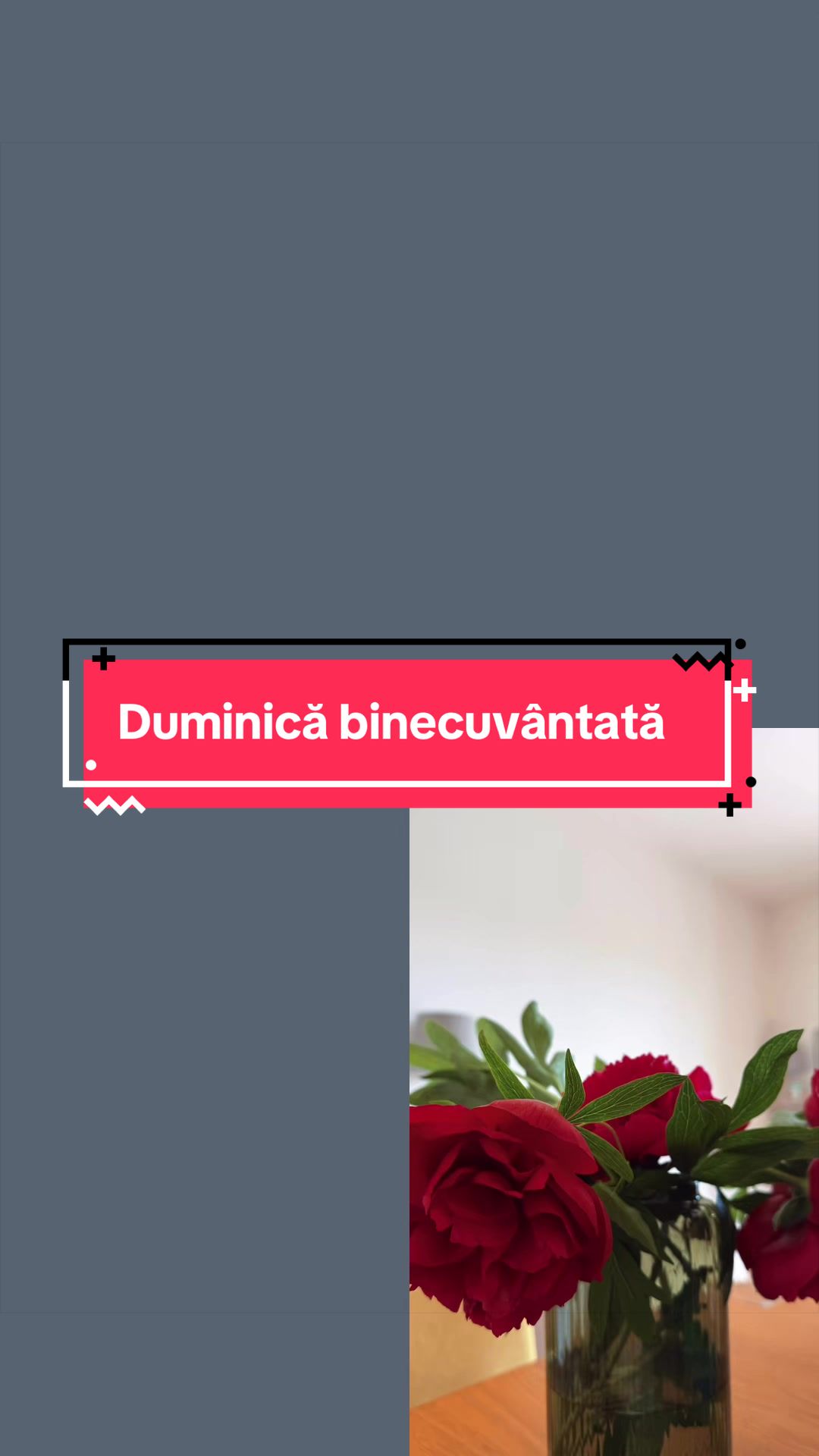 @Michela Stratica