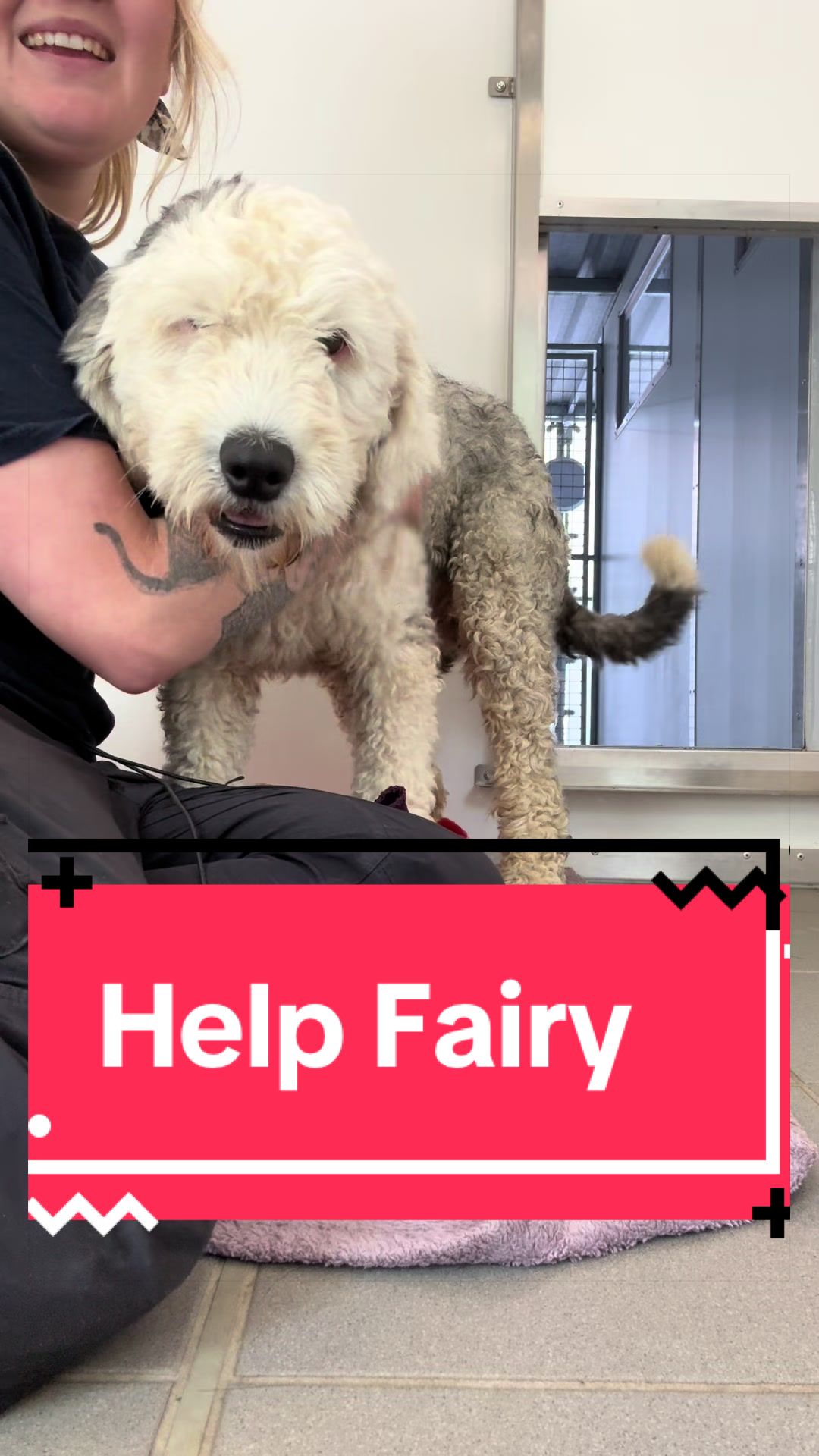@RSPCA brighton