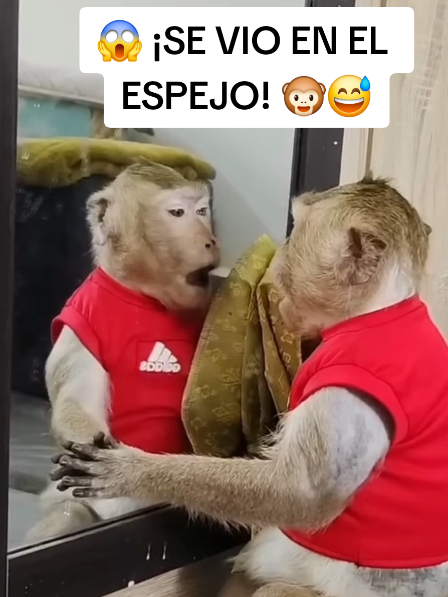 @monkeyYAYA