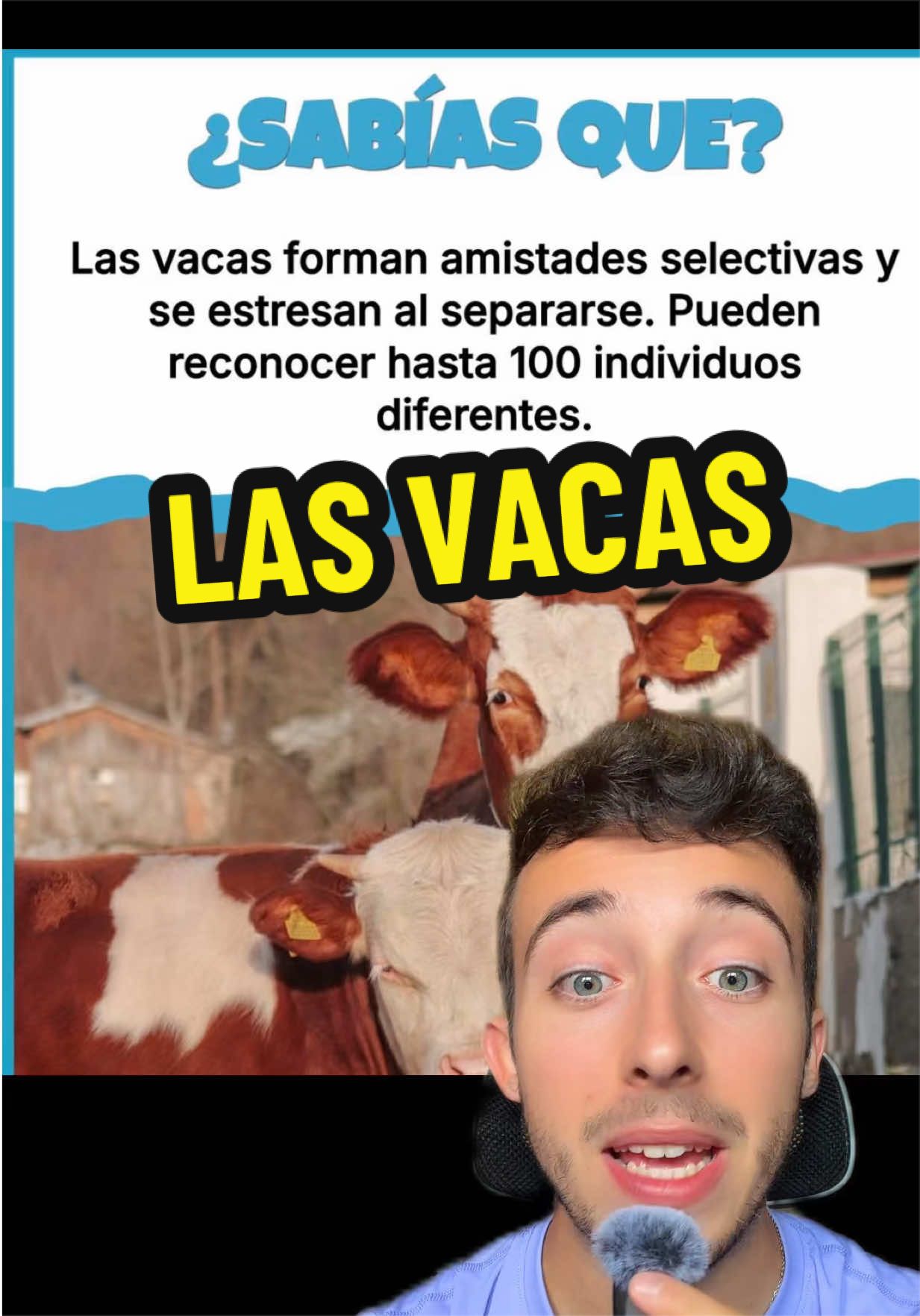 @ivanttops