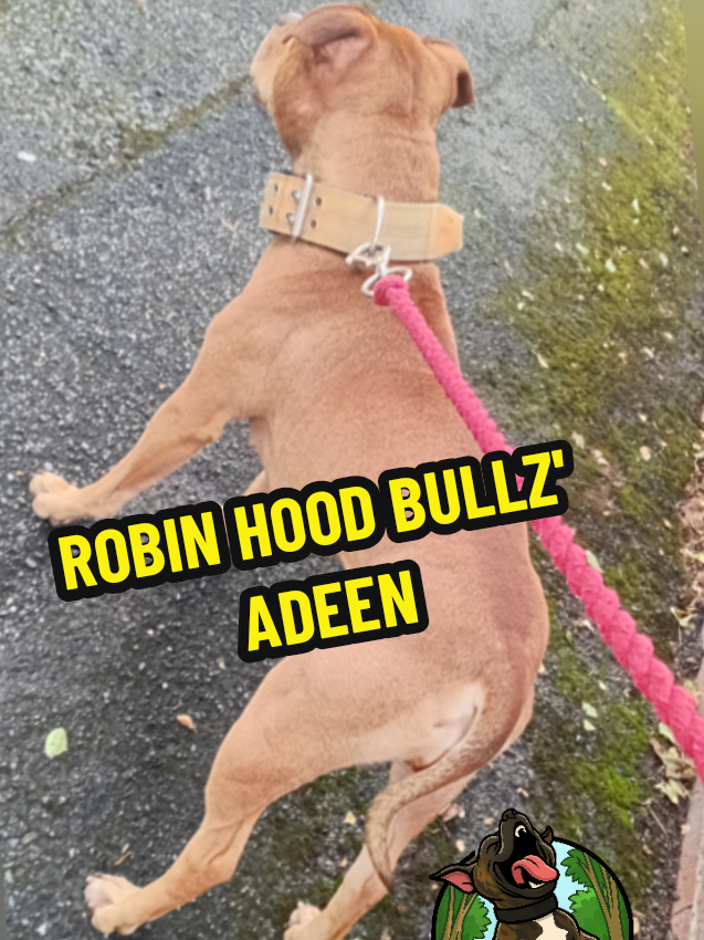 @ROBIN HOOD BULLZ UK