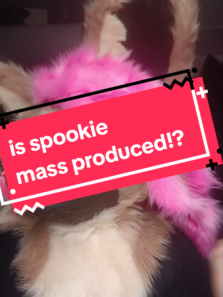 @Gouhin's #1 fan [Spookie🐾‼️]