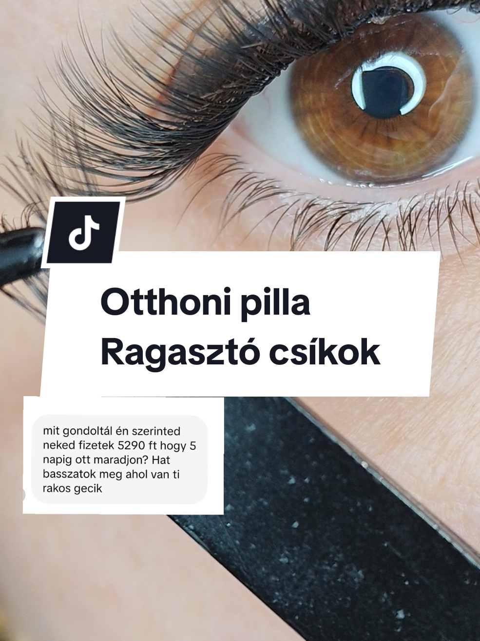@LashMara 🦋