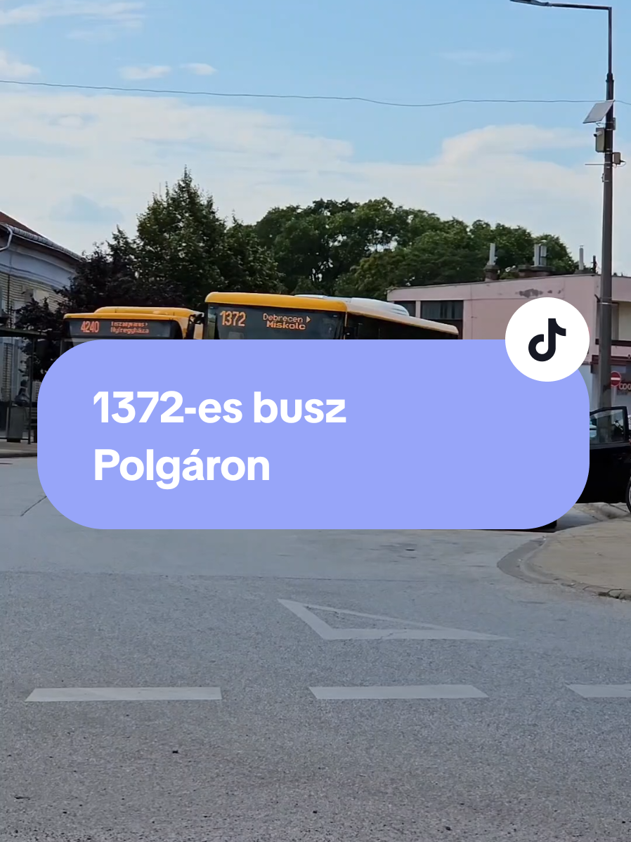 @PTF - Public Transport Fan