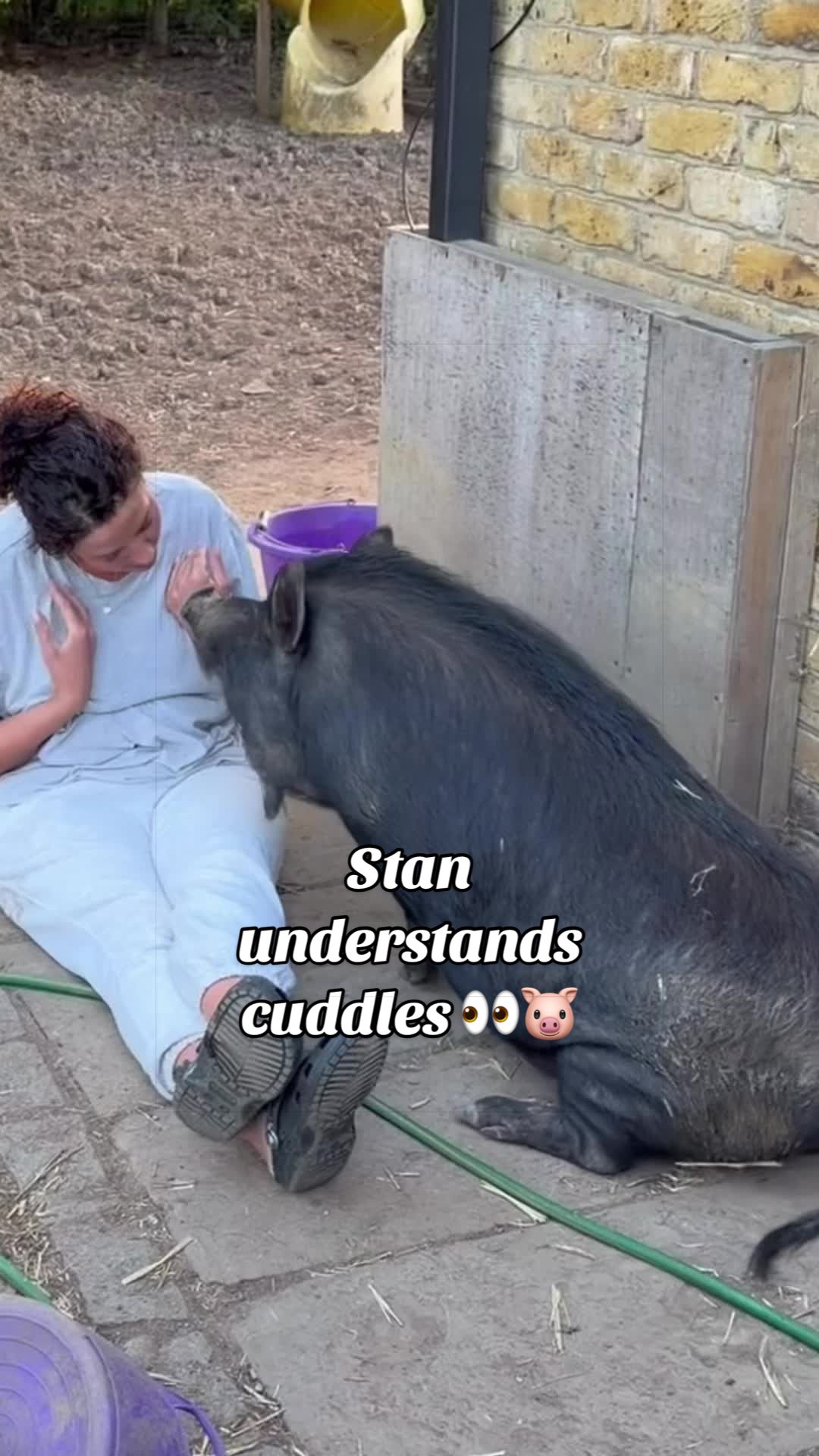 @AhimsaAnimalSanctuaryUK